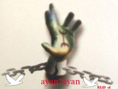 Kabyle et fi�re de l��tre 